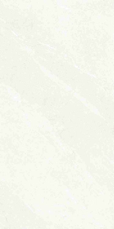 Dhara White Matte 24 x 48